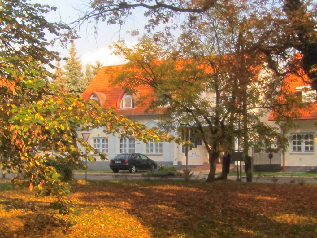 Hotel Csigahaz Panzio Gyula Pokój zdjęcie